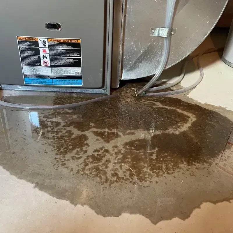 Appliance Leak Cleanup in Bedford Hills, NY